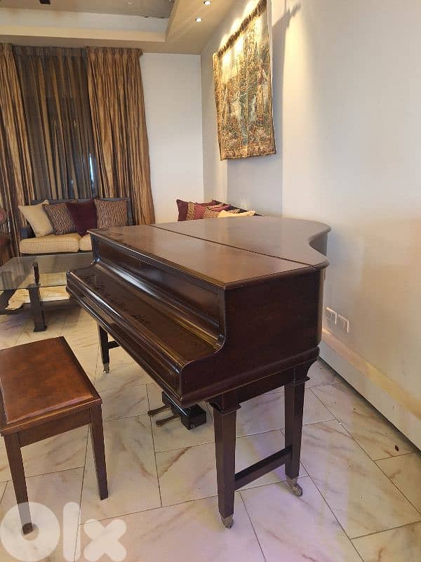 Grand Luxury Piano 1