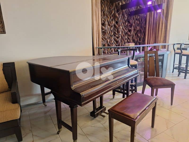 Grand Luxury Piano 2