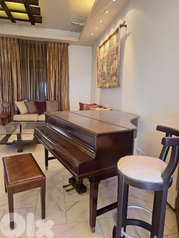 Grand Luxury Piano 3