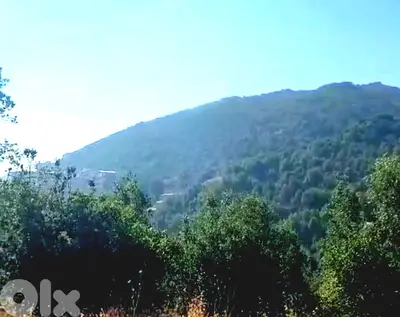 Land for sale in Achqout/ VERY HOT DEAL/ Mountain View/