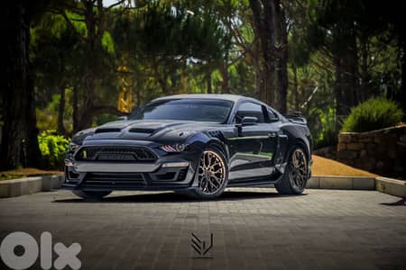 2018 ford mustang 5.0 GT Gen3 performance pack 10 speed (supersnake)
