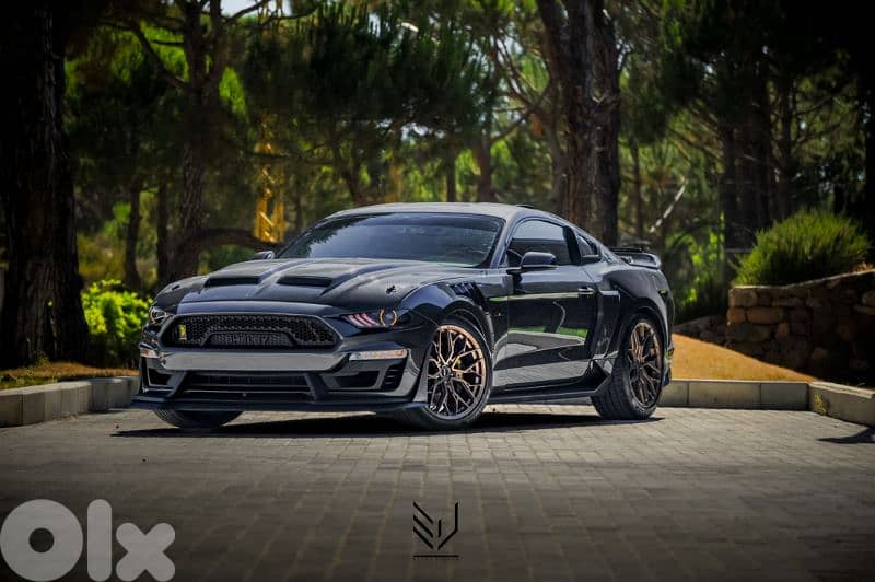 2018 ford mustang 5.0 GT Gen3 performance pack 10 speed (supersnake) 0