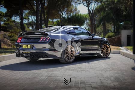 2018 ford mustang 5.0 GT Gen3 performance pack 10 speed (supersnake)