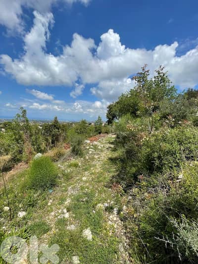 RWB148DL - Land for sale in Zein Batroun