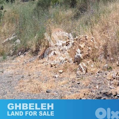 Land for sale at Ghbeleh- أرض للبيع في غباله