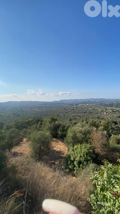Land for sale in Amioun - أرض للبيع في أميون