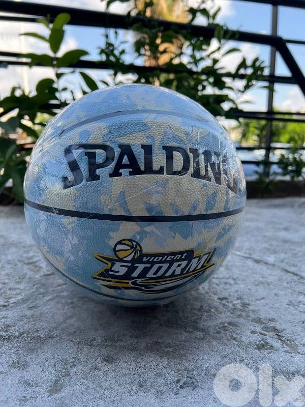 spalding basketball 0