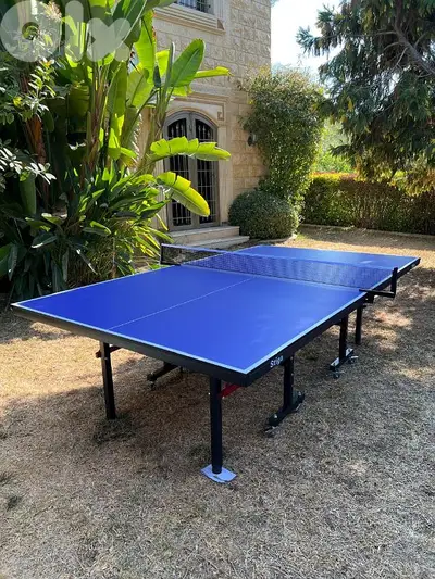 PingPong Table