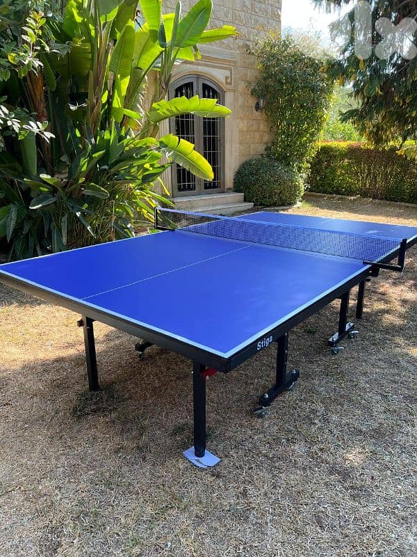 PingPong Table 1