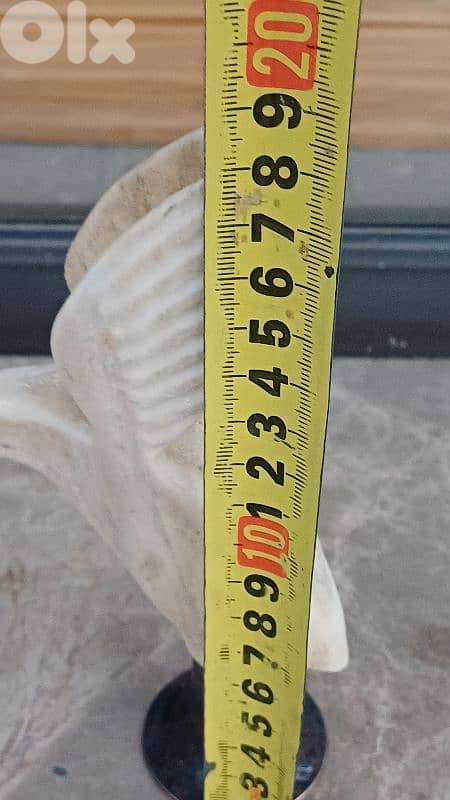 antique 6