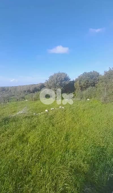 Land for sale in Wajeh El Hajar-Batroun أرض للبيع في وجه الحجر