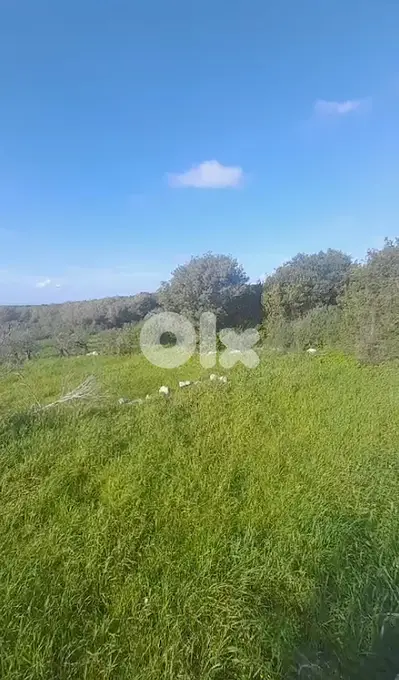 Land for sale in Wajeh El Hajar-Batroun أرض للبيع في وجه الحجر