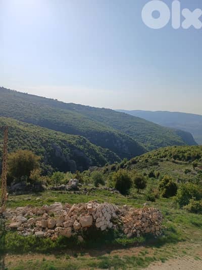 أرض للبيع في كفرسلوان Land sale in Kfarselwan من ترشيش أو طريق المتين