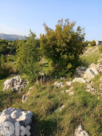 أرض للبيع في كفرسلوان Land sale in Kfarselwan من ترشيش أو طريق المتين