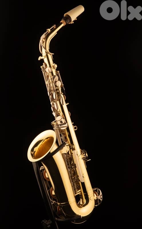 Yamaha Alto Saxophone 2