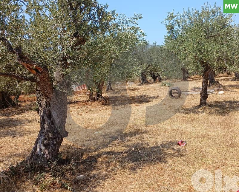 Agricultural Land for Sale – Kosba, Koura REF#MW124653 - Lands for Sale ...