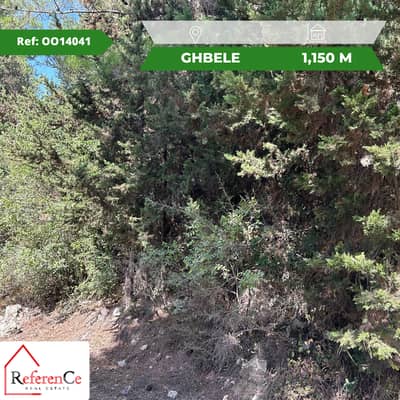 Land in Ghbeleh for sale أرض للبيع في غبالة