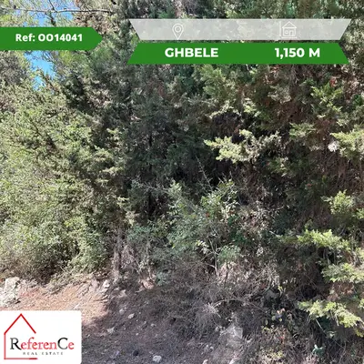 Land in Ghbeleh for sale أرض للبيع في غبالة