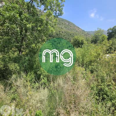 SS-12177 / Land for Sale in Hakel, أرض للبيع في حاقل