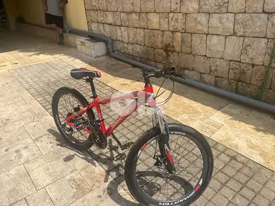 bycicle brand new european 24”