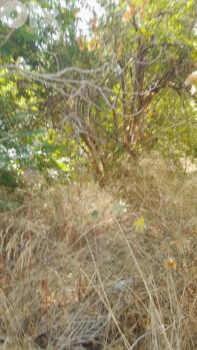 أرض للبيع في الحدث Land for sale in Hadath