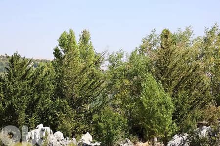3,400 SQM  Land in Faitroun, Keserwan with Panoramic Mountain View
