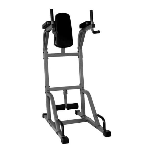dips and abs machine 0