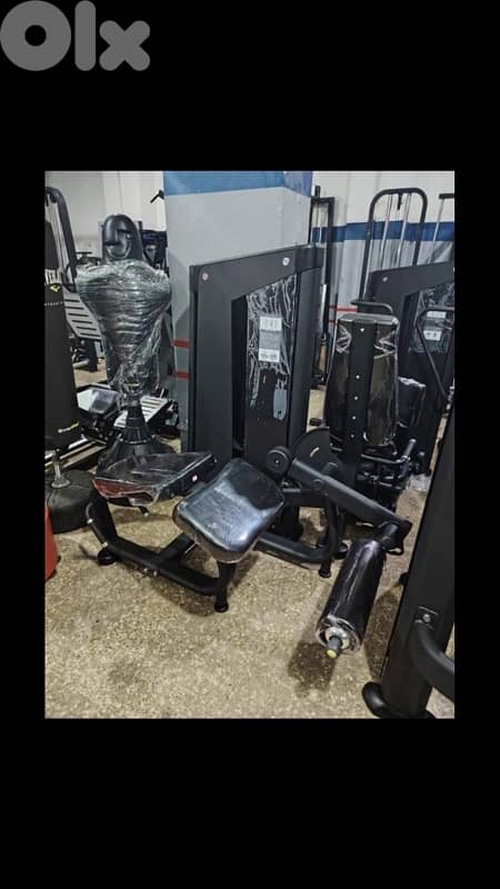 leg curl new heavy duty 1