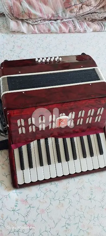 2 sizes accordion instruments