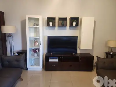 tv and tv unit