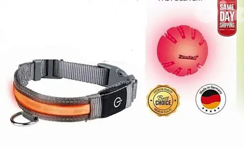 طوق للكلب dog collar