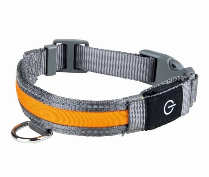 طوق للكلب dog collar 1