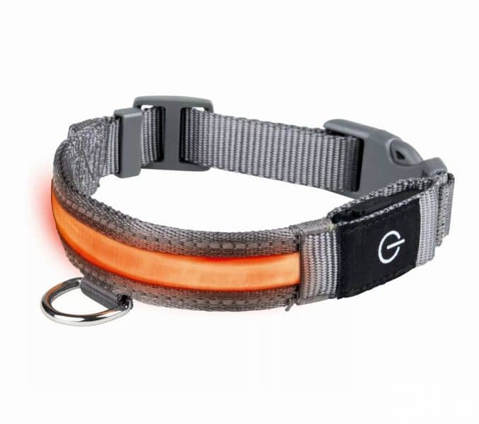 طوق للكلب dog collar 2