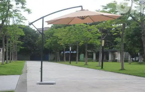 banana umbrella