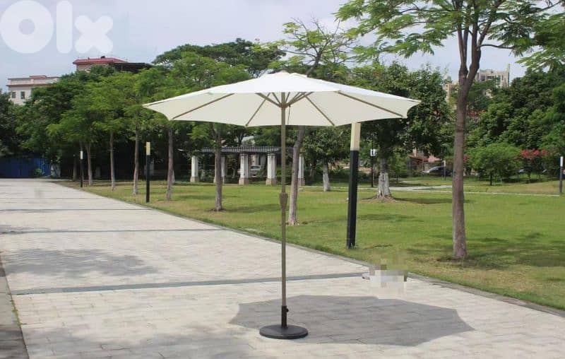 Malaysian umbrella 0