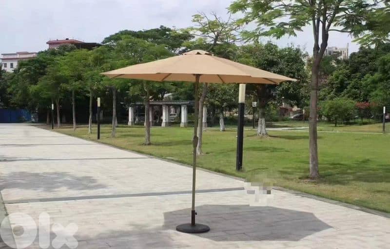 Malaysian umbrella 0
