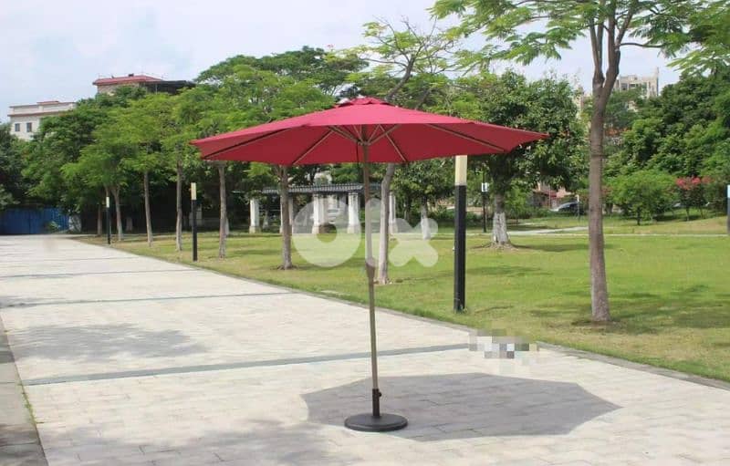 Malaysian umbrella 0