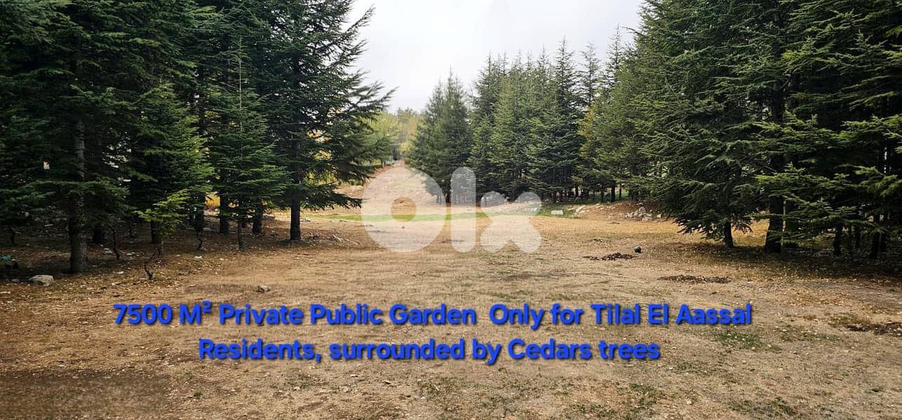 Chalet for sale in Tilal Al Assal/ Garden/ View 7