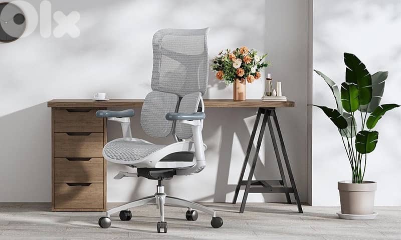 SIHOO Doro S100 Ergonomic Office Chair limited 0