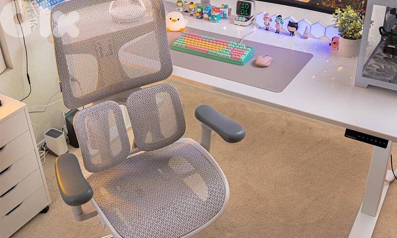 SIHOO Doro S100 Ergonomic Office Chair limited 1