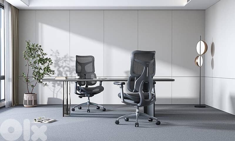 SIHOO Doro S100 Ergonomic Office Chair limited 4