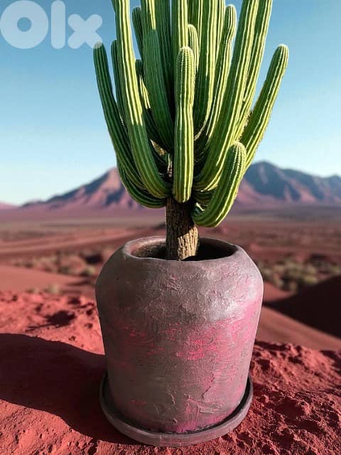 Concrete Pots 0