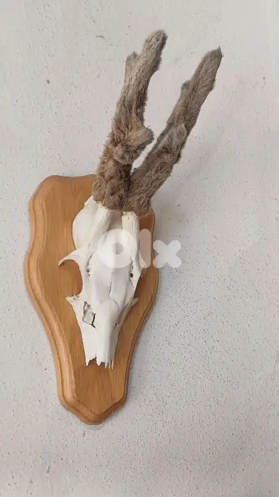 antique