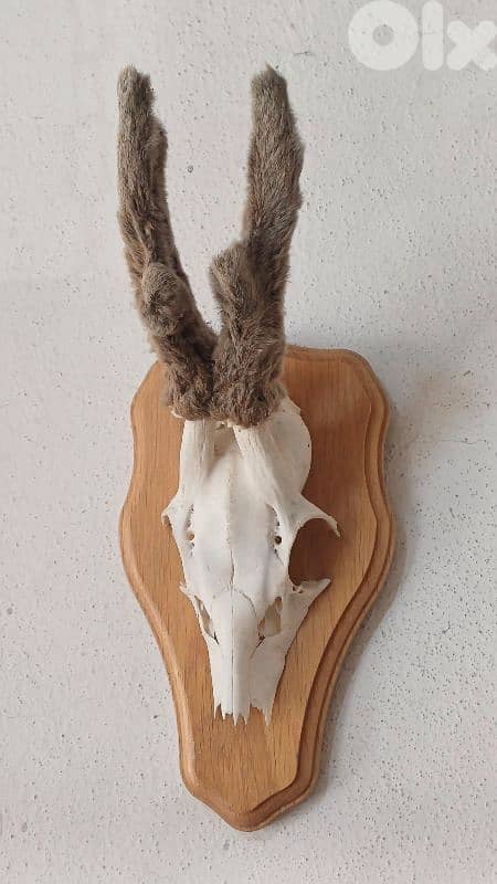 antique 3