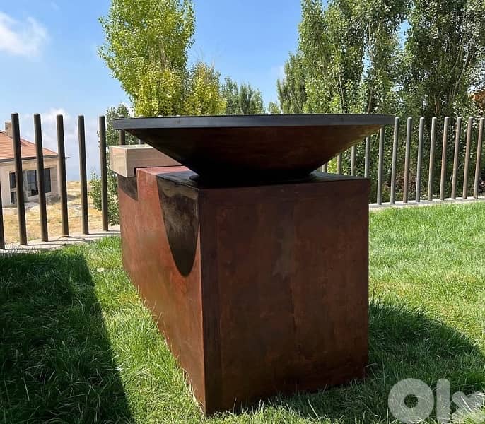 barbecue wood and charcoal grill BBQ 5
