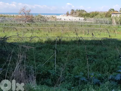837m2 Land+Sea View|Prime Location|4sale in Kaslikأرض للبيع في الكسليك