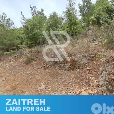 Land for sale in Zaitreh - أرض للبيع في زعيتره