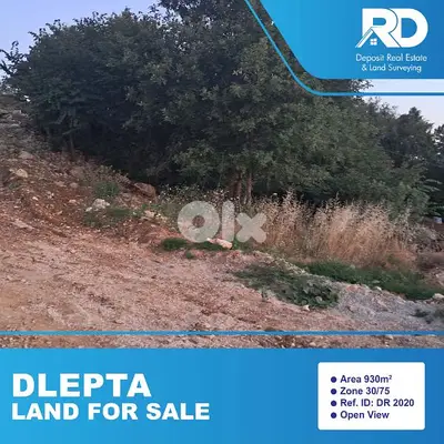 Land for sale in Dlepta - أرض للبيع في دلبتا