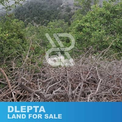 Land for sale at Dlepta - أرض للبيع في دلبتا