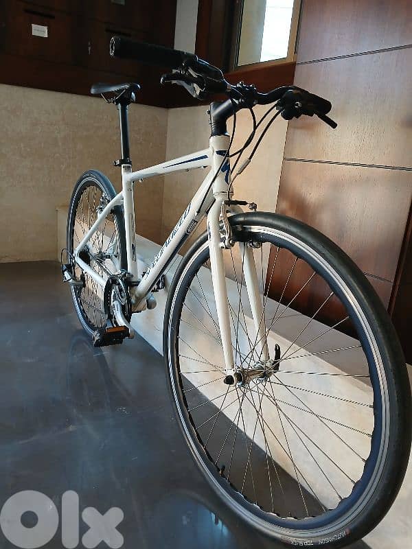 specialized bike 6
